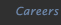 Careers